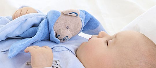 Doudou bébé