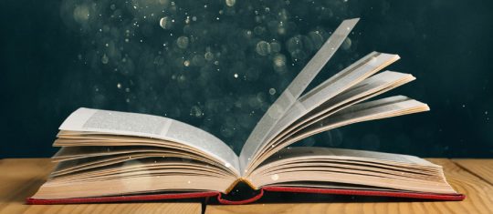 Le livre personnalisable